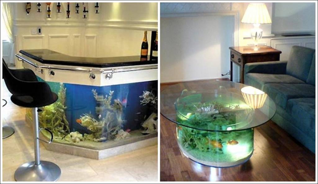 dining room table fish tank