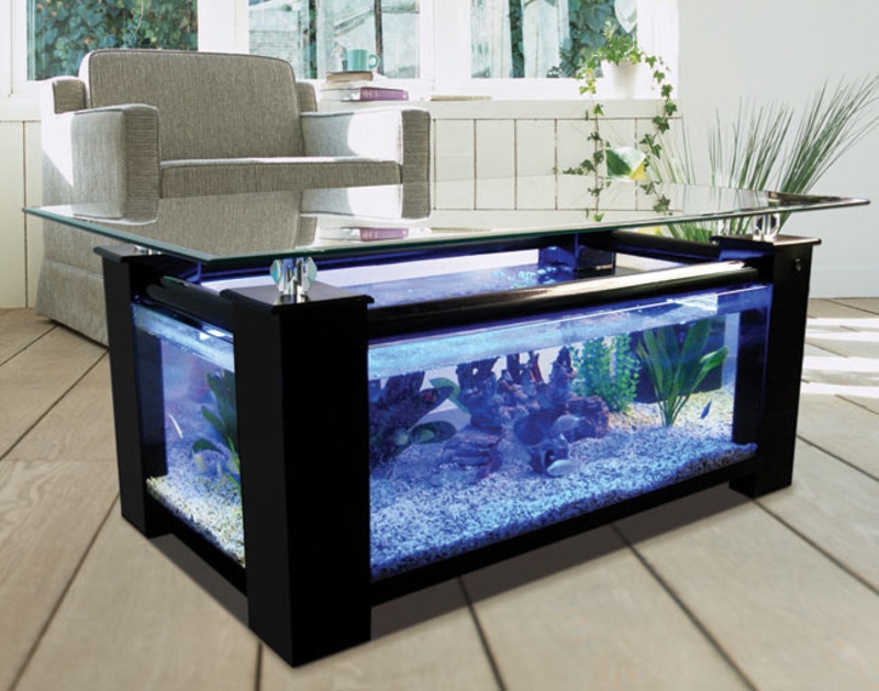 coffee table aquarium, coffe table design, aquarium, table