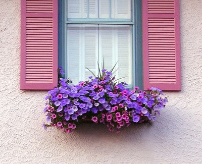 ba3d_Bright-Window-Flower-Box