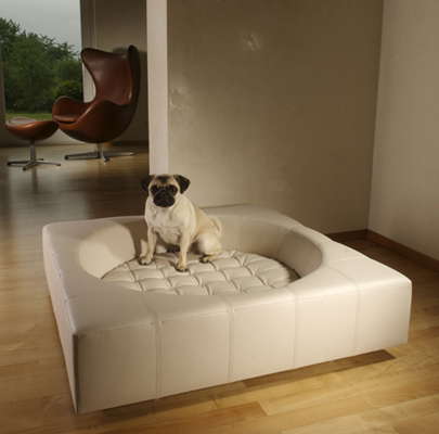 dog_couch-designer-dog-bed