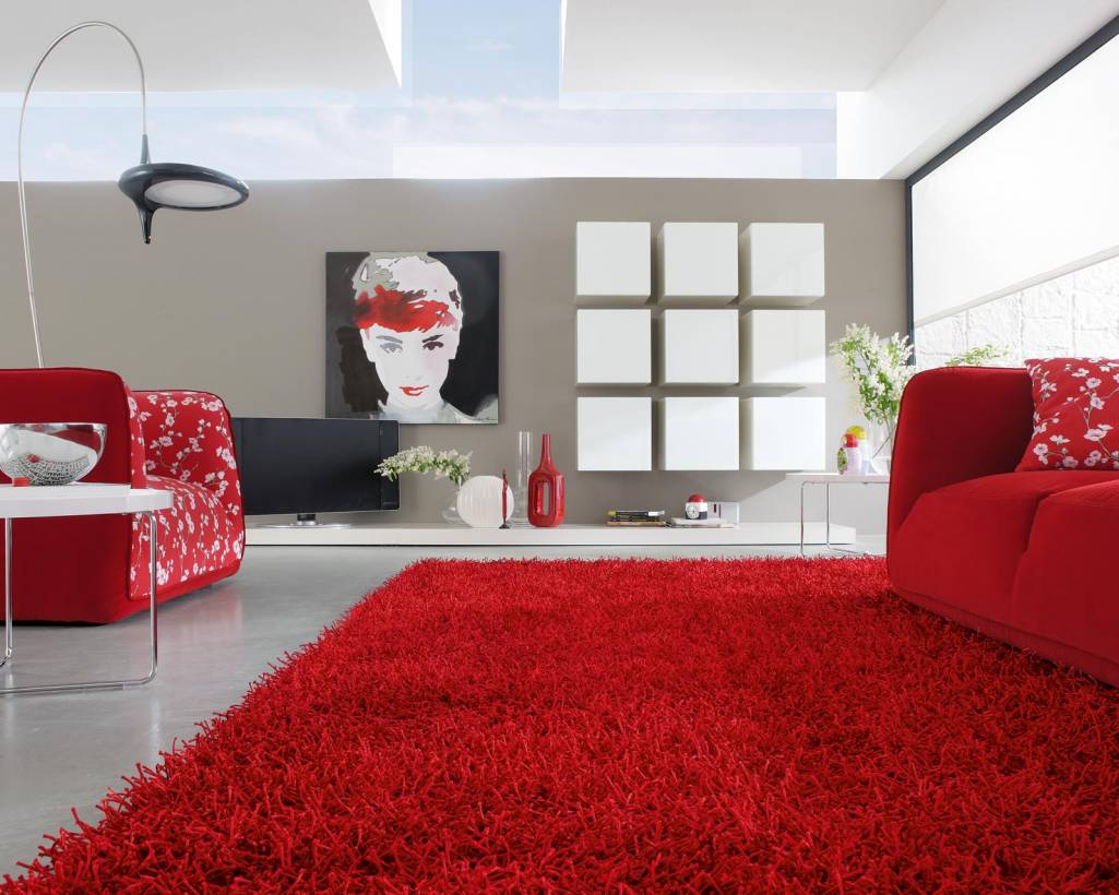 Stylish Red Rug for Living Room