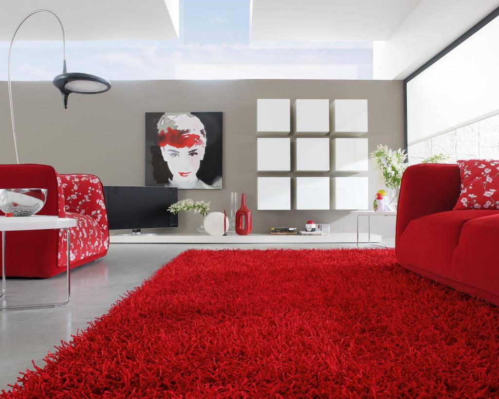 red living room carpet decorating ideas