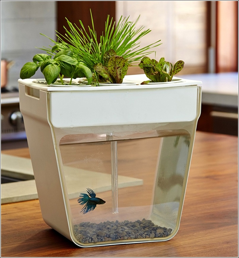 Aquaponic Self-Cleaning Aquarium with a Mini Garden!