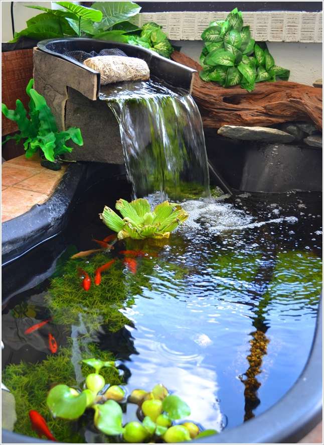 5 Outdoor Aquarium Designs that will Bring Life to Your Garden or Patio