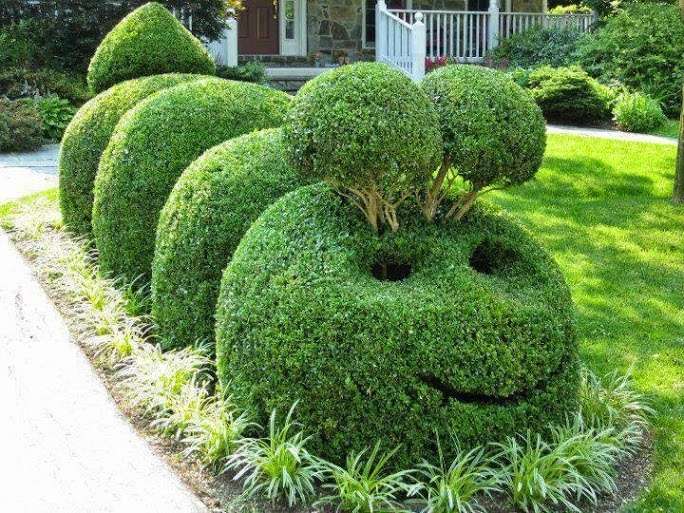 5 Topiary Sculptures that You'll Love to Have in Your Garden