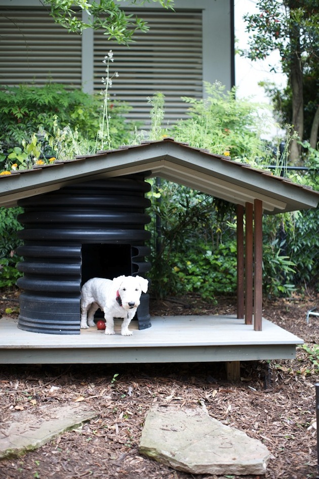 16-Dog-House-Designs-To-Keep-Your-Pooch-Cool-This-Summer-10