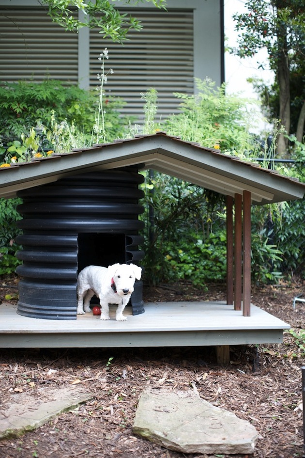 10 Creative Dog House Design Ideas 10-creative-dog-house-design-ideas
