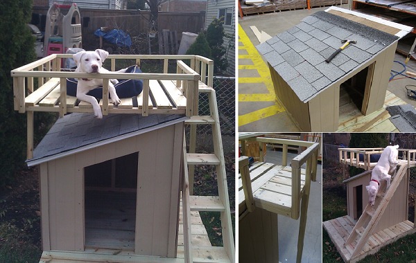 Dog-House-with-Roof-Top-Deck-1