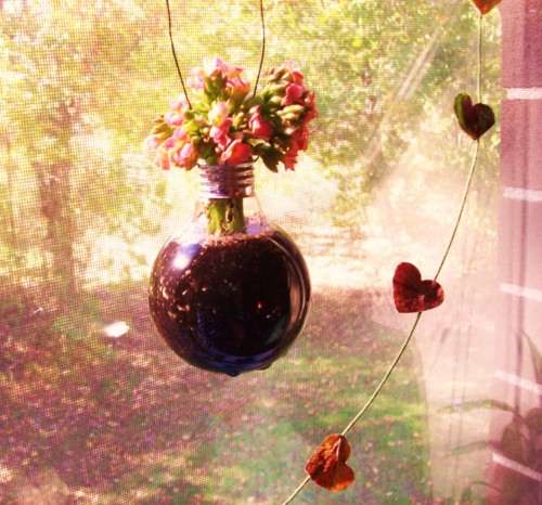 Hanging Lightbulb Flowerpot