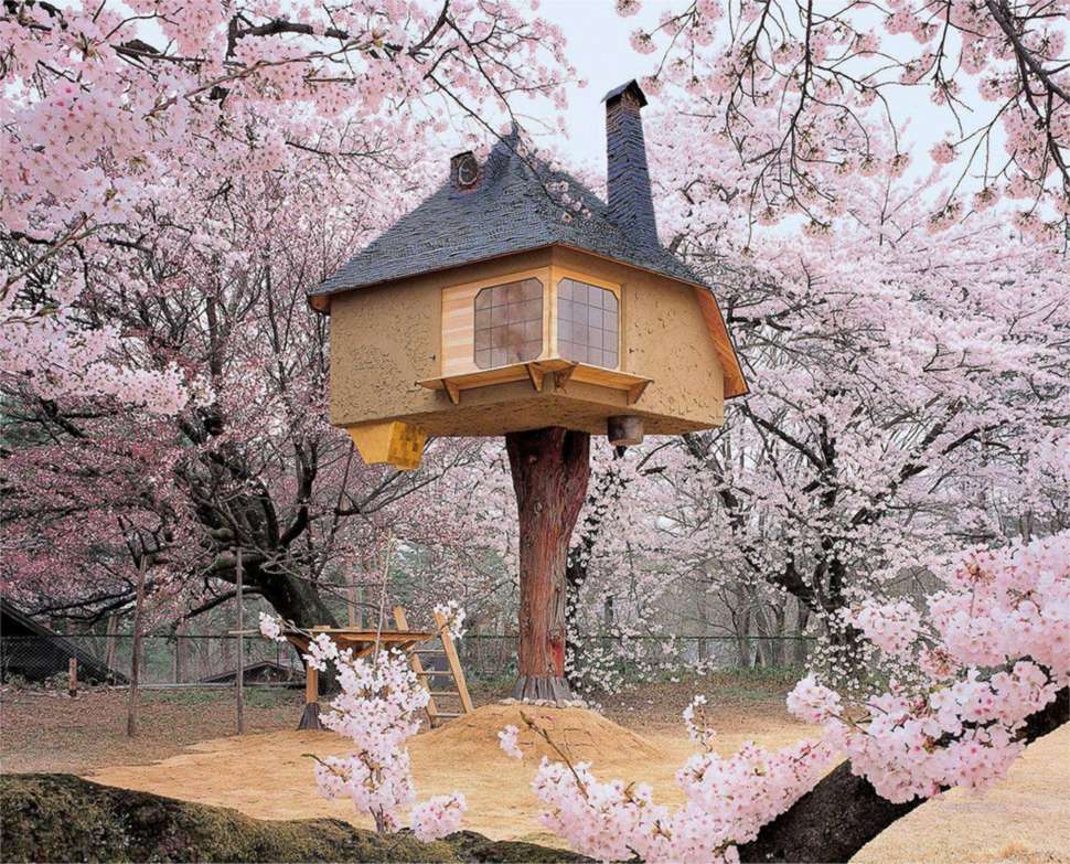 Tetsu Treehouse