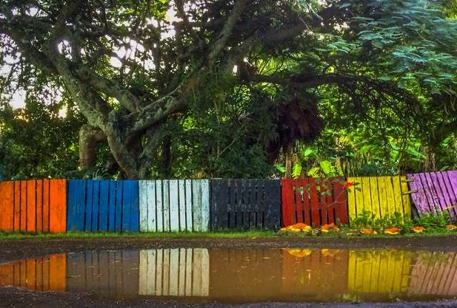 Colorful Plaet Fence