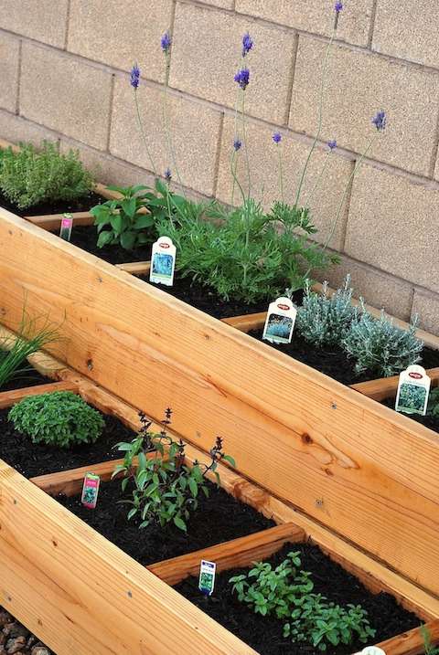 Herb bed
