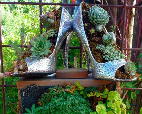 Old Shoes Planters