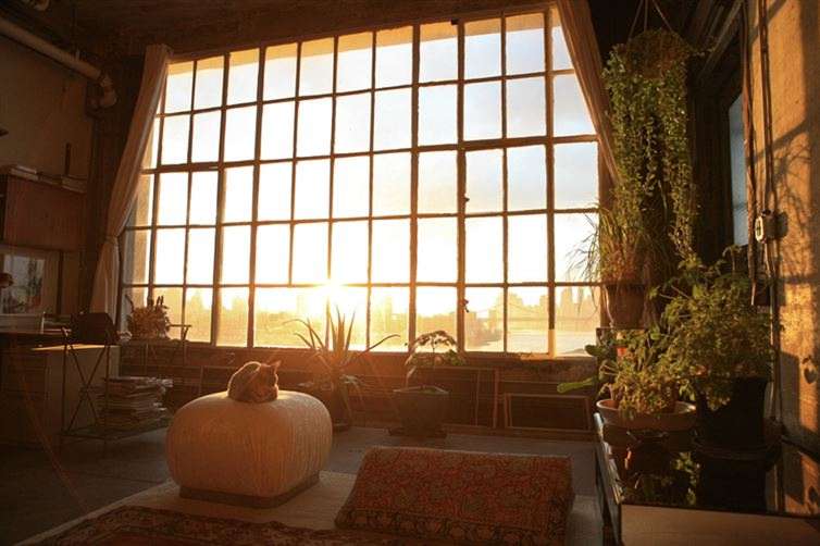 Tall  room with  natural light and plants.