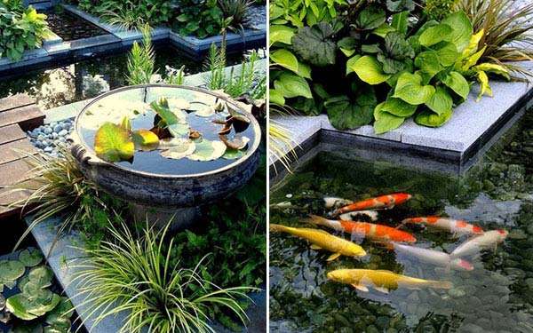 Mini Fish Pond