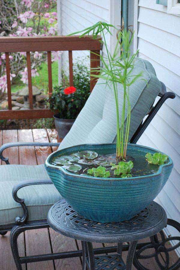 Mini Pond In a Pot