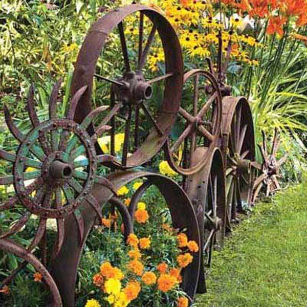 Old metal wheels wired together to make edging for a planting bed