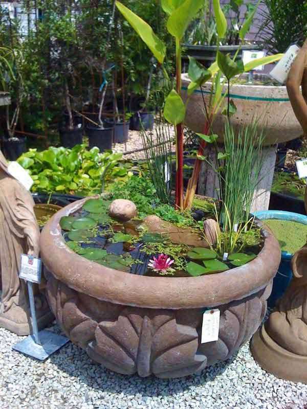Stone Pot as a Mini Pond