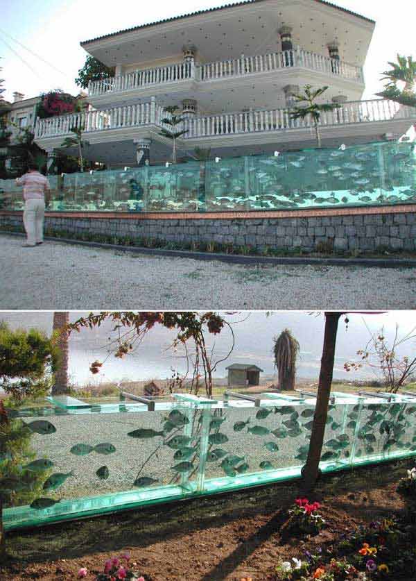 Aquarium Fence