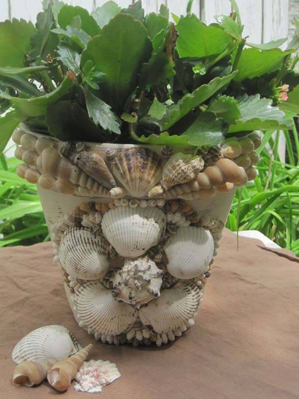 Seashell encrusted clay pot