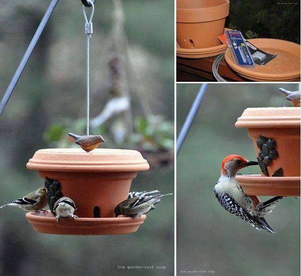 Terracotta pot bird feeder