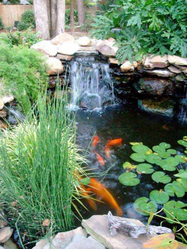 16 Impressive DIY Backyard Ponds Ideas