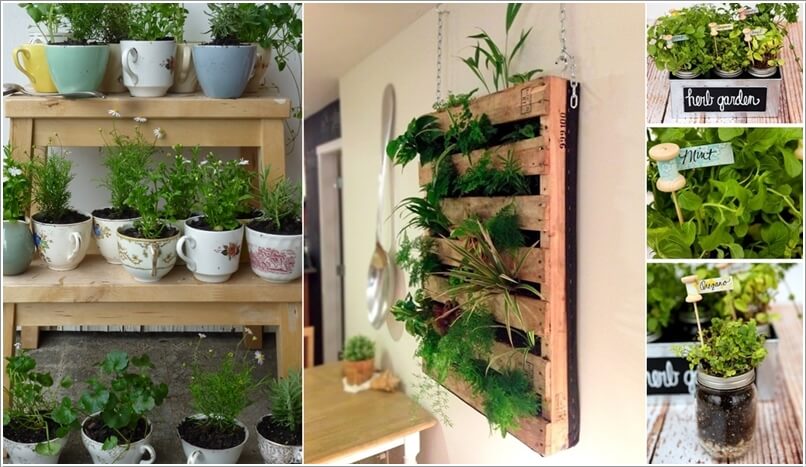 10 Cool DIY Ideas to Grow an Indoor Herb Garden