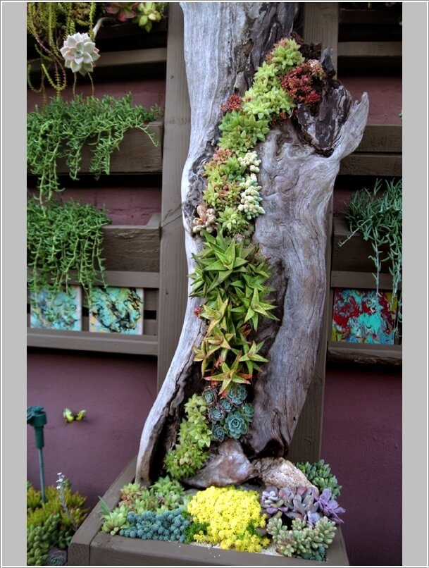 Materials to Use for a Vertical Garden 10