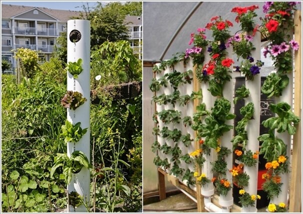 Materials to Use for a Vertical Garden 7