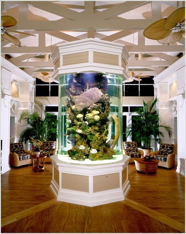 These Crazy Home Aquariums Will Take Your Breath Away 6