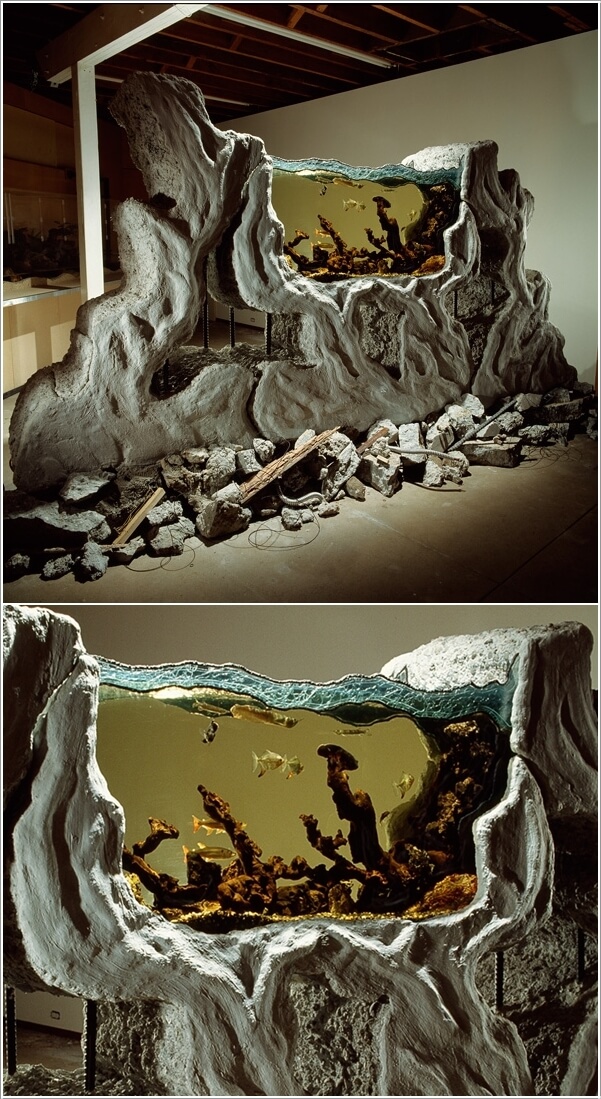 These Crazy Home Aquariums Will Take Your Breath Away 7