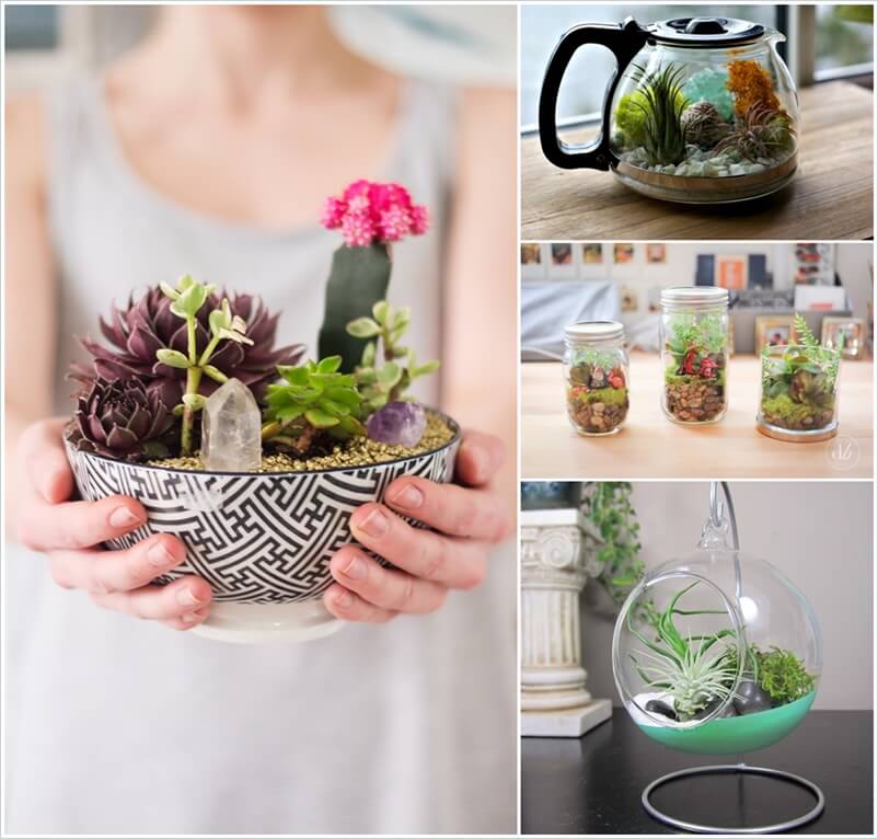 20 Cool Ideas to Make Your Own Terrarium 1