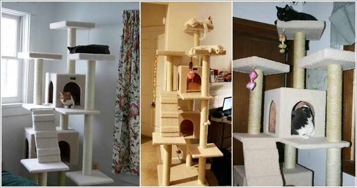 Cool Cat Tree Furniture Designs Your Cat Will Love 7