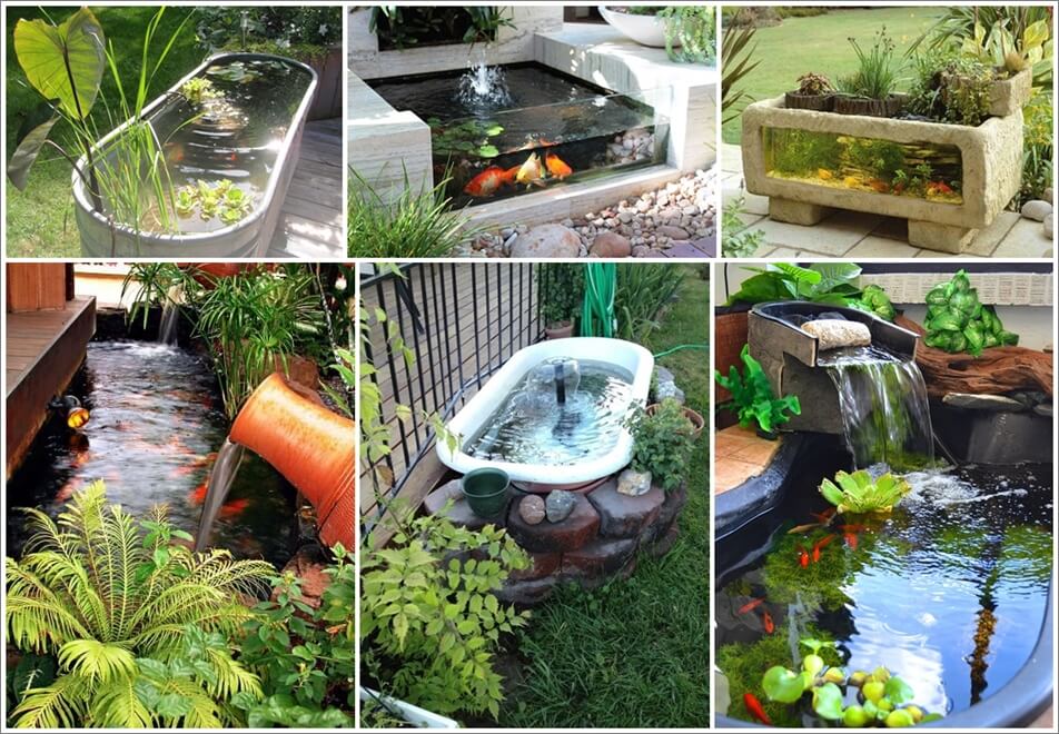 Over 21 Beauteous Backyard Aquarium Ideas 1