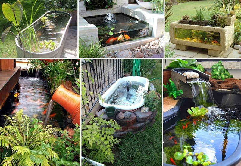 Over 21 Beauteous Backyard Aquarium Ideas