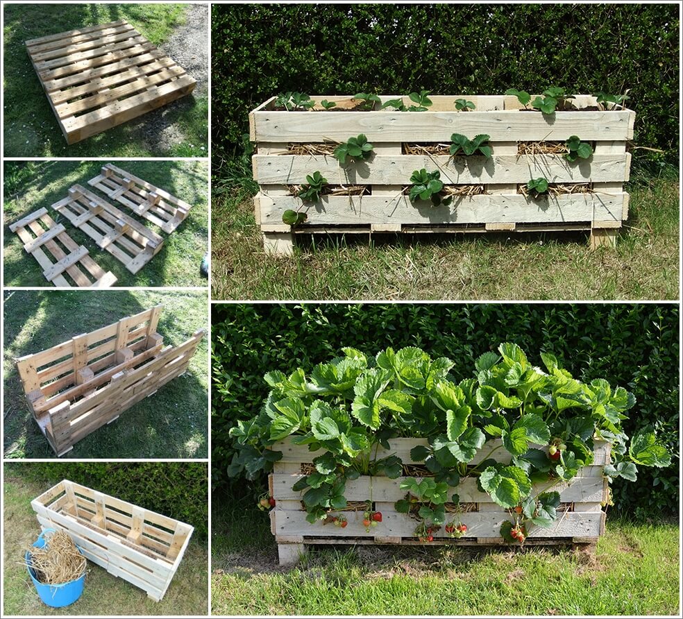Make This amazing Strawberry Planter from a Single Pallet 1
