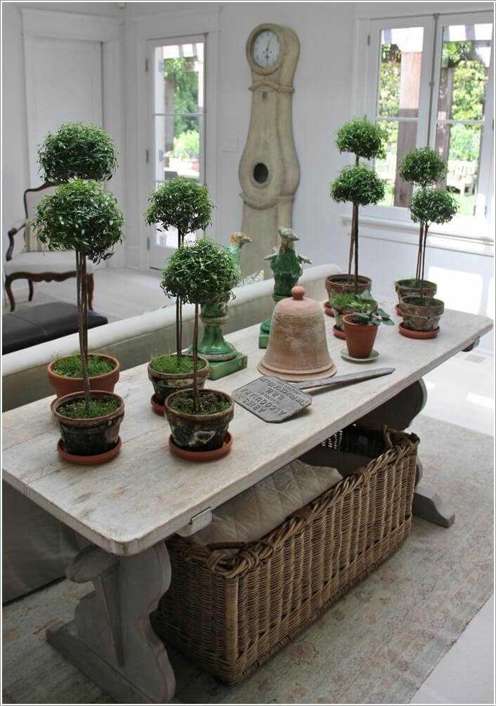 10 Creative Ways to Decorate Your Home's Indoor with Topiaries 4