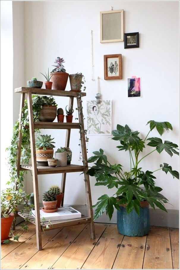 13 Fresh Ideas for Indoor Planter Stands 5