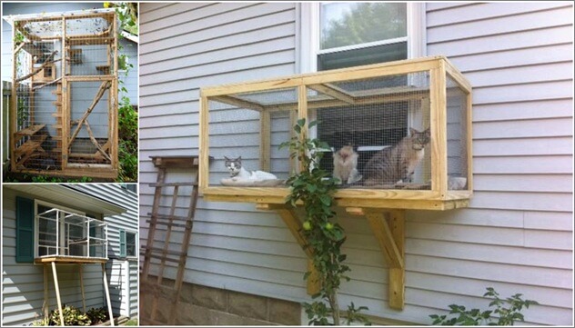 Build a Catio for Your Cat to Enjoy 1