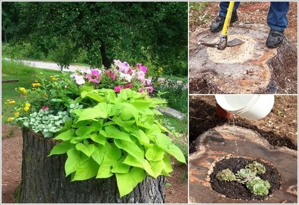 10 Absolutely Wonderful Tree Stump Landscaping Ideas 8