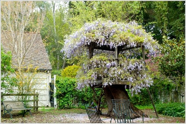 10 Absolutely Wonderful Tree Stump Landscaping Ideas 1