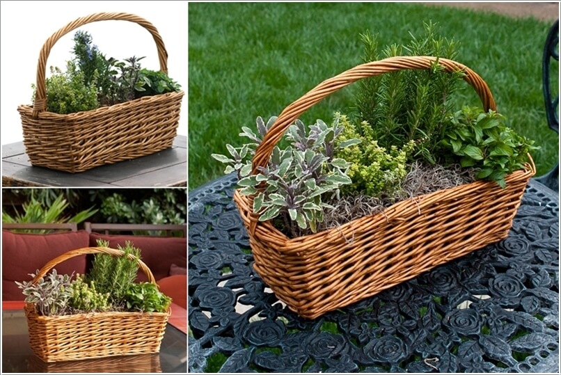 12 Cool Small Herb Gardens That Won't Take Much Space 11
