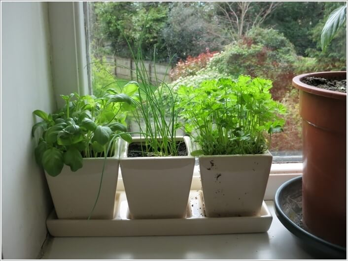 12 Cool Small Herb Gardens That Won't Take Much Space 12