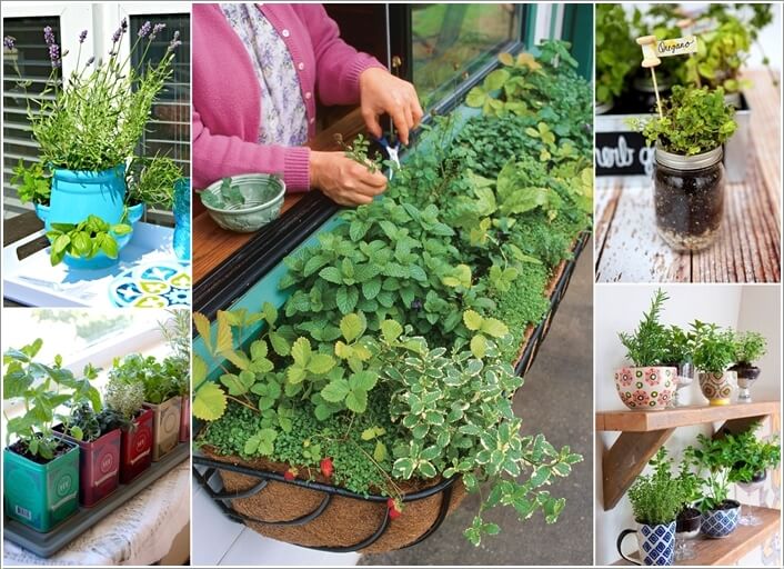12 Cool Small Herb Gardens That Won't Take Much Space a