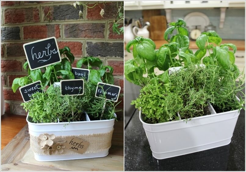 12 Cool Small Herb Gardens That Won't Take Much Space 3