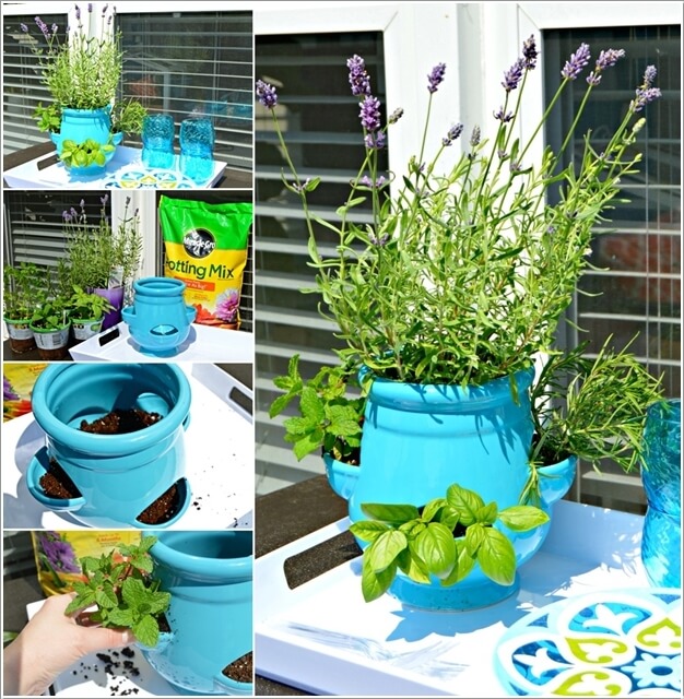 12 Cool Small Herb Gardens That Won't Take Much Space 7