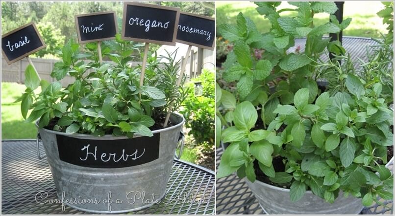 12 Cool Small Herb Gardens That Won't Take Much Space 8