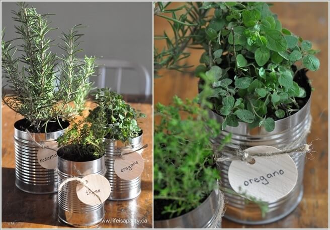 12 Cool Small Herb Gardens That Won't Take Much Space 9