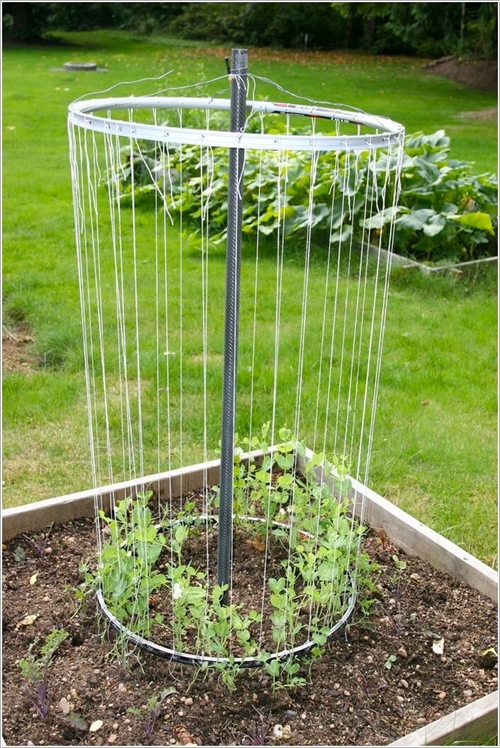 10 Easy Yet Beautiful DIY Garden Trellis Projects 7