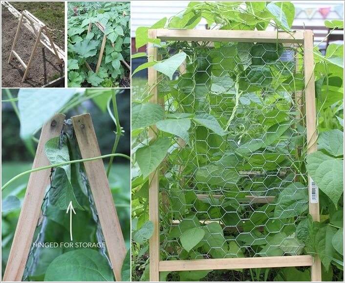 10 Easy Yet Beautiful DIY Garden Trellis Projects 9